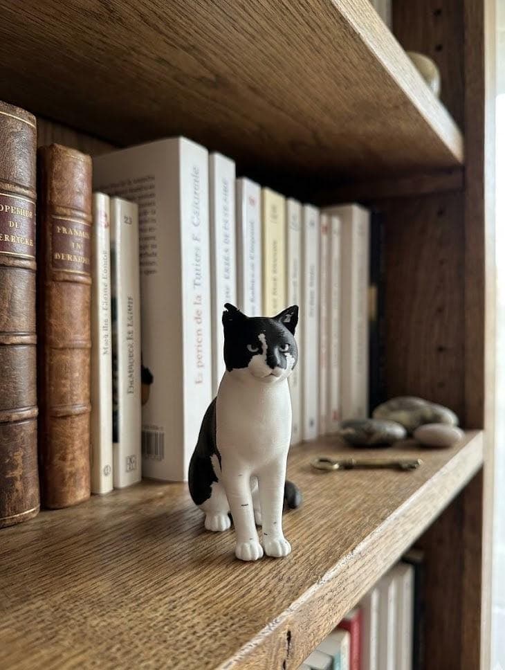 Custom Pet Figurine from Photo