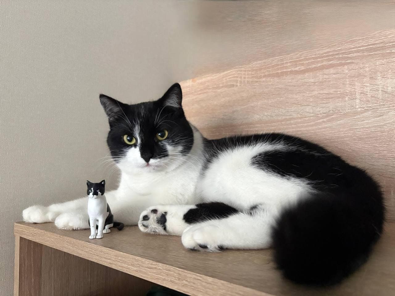 Custom Pet Figurine from Photo